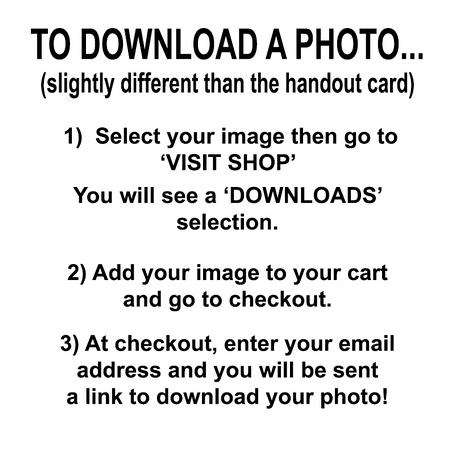 New download Instructions