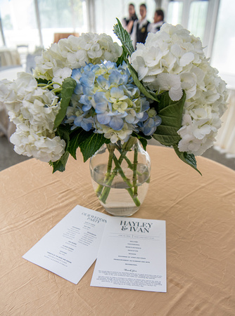HayleyIvanWed6.24-1596